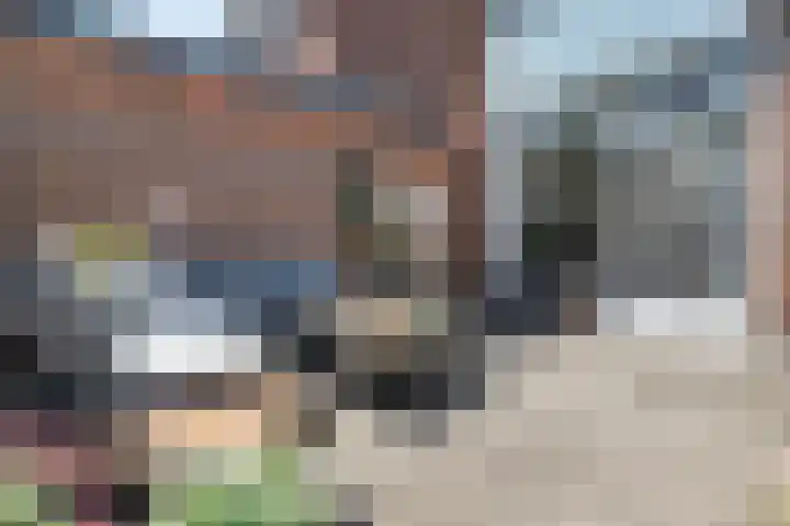 Tivolilaan 89 Eindhoven thumbnail 26