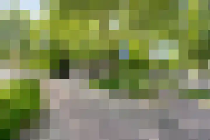 Tivolilaan 89 Eindhoven thumbnail 29