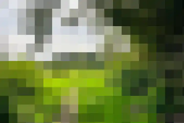 Tivolilaan 89 Eindhoven thumbnail 31