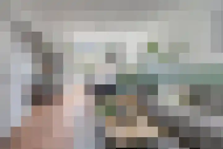 Tivolilaan 89 Eindhoven thumbnail 4