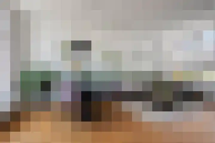Tivolilaan 89 Eindhoven thumbnail 6
