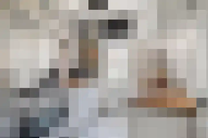 Tivolilaan 89 Eindhoven thumbnail 9