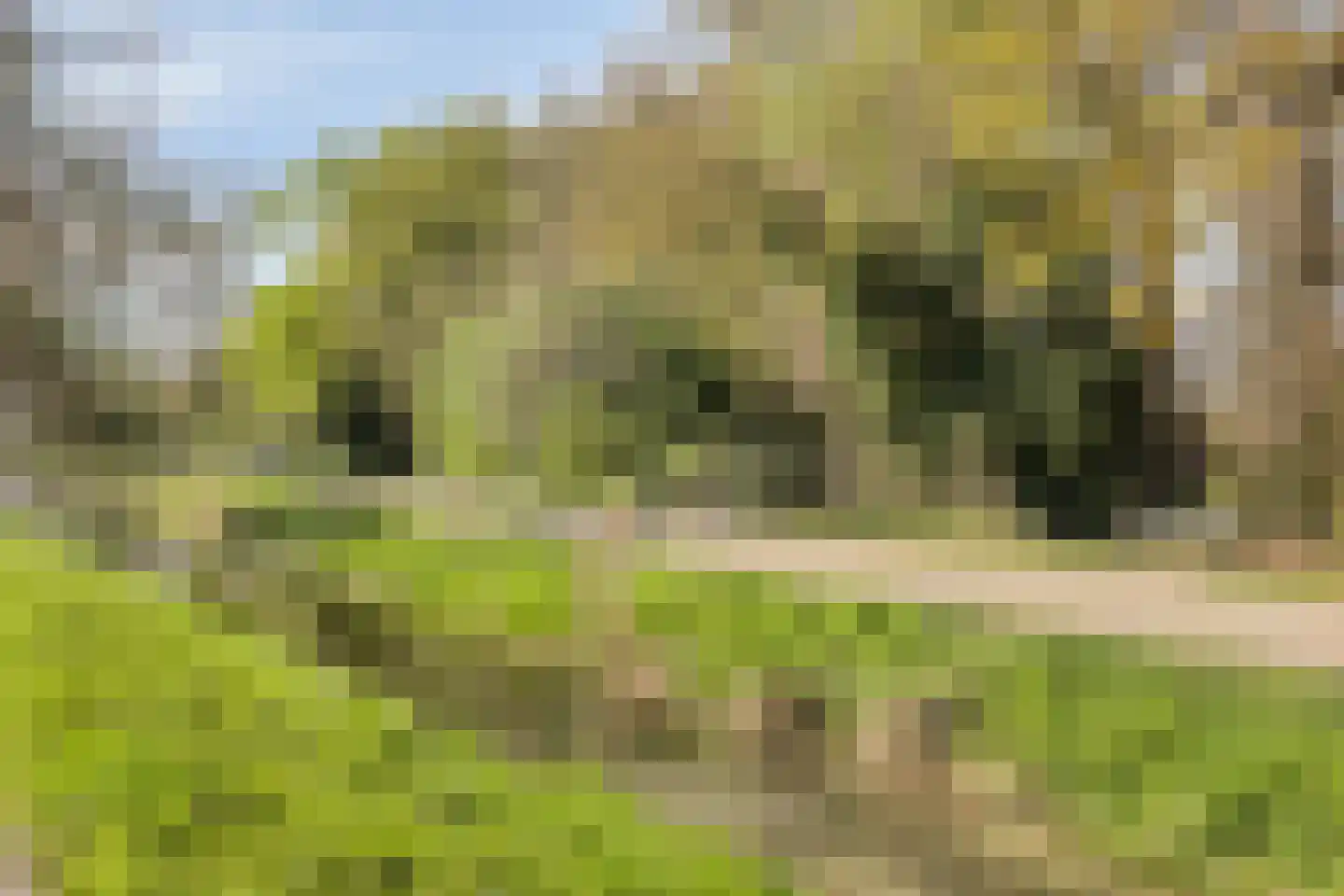 Tivolilaan 93 Arnhem thumbnail 46
