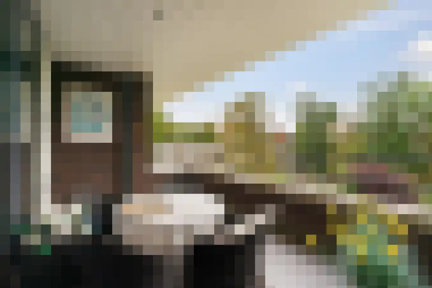 Tivolipark 17 Oudenbosch thumbnail 29