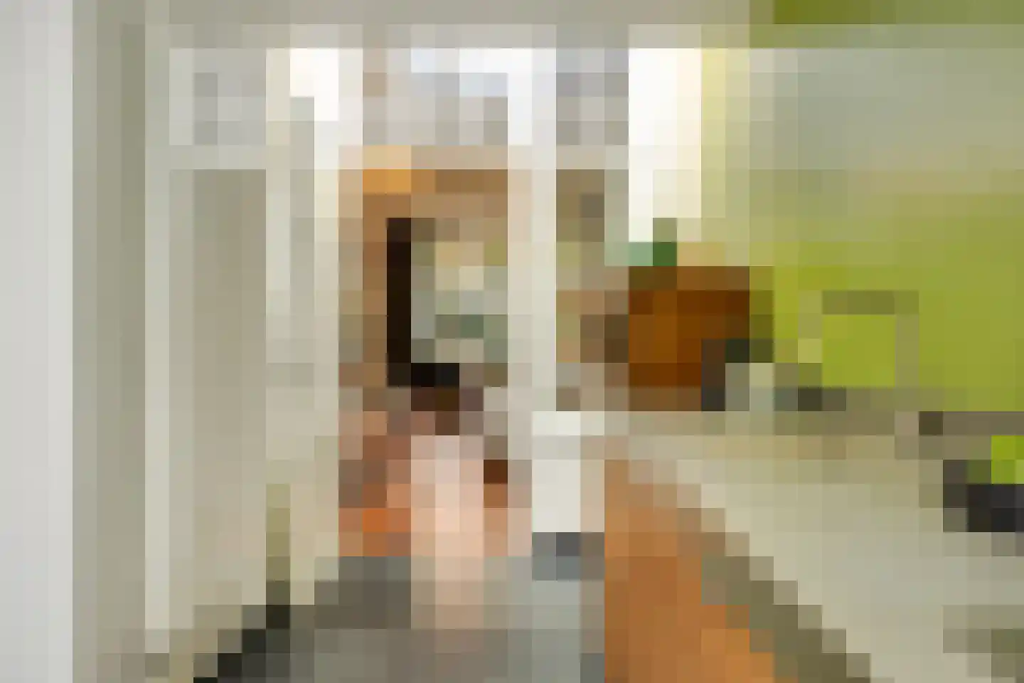 Tivolistraat 16 Tilburg thumbnail 13