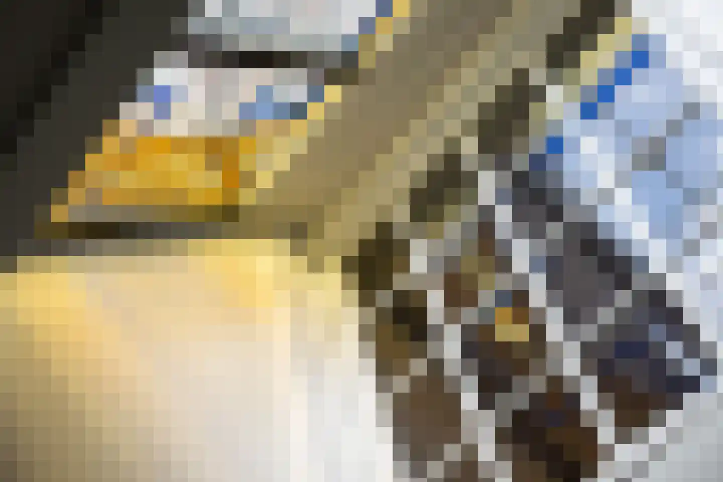 Tivolistraat 16 Tilburg thumbnail 16
