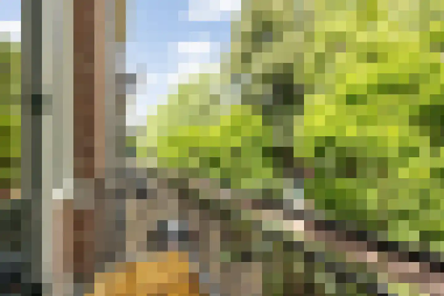 Tivolistraat 16 Tilburg thumbnail 22