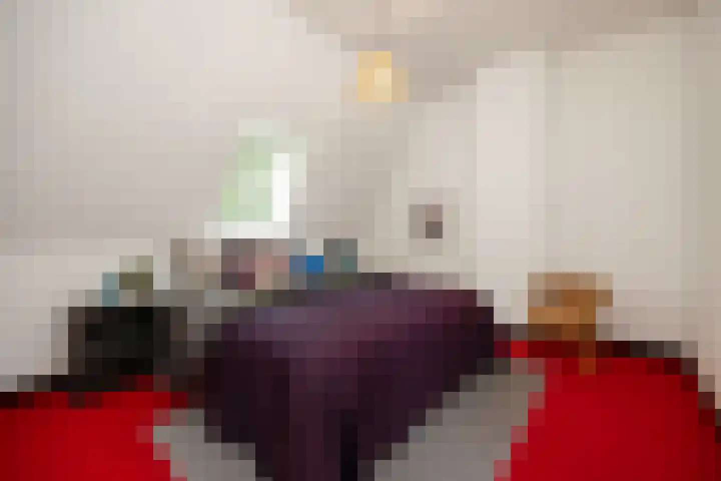 Tivolistraat 16 Tilburg thumbnail 23