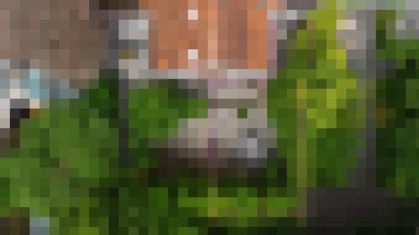 Tivolistraat 16 Tilburg thumbnail 26