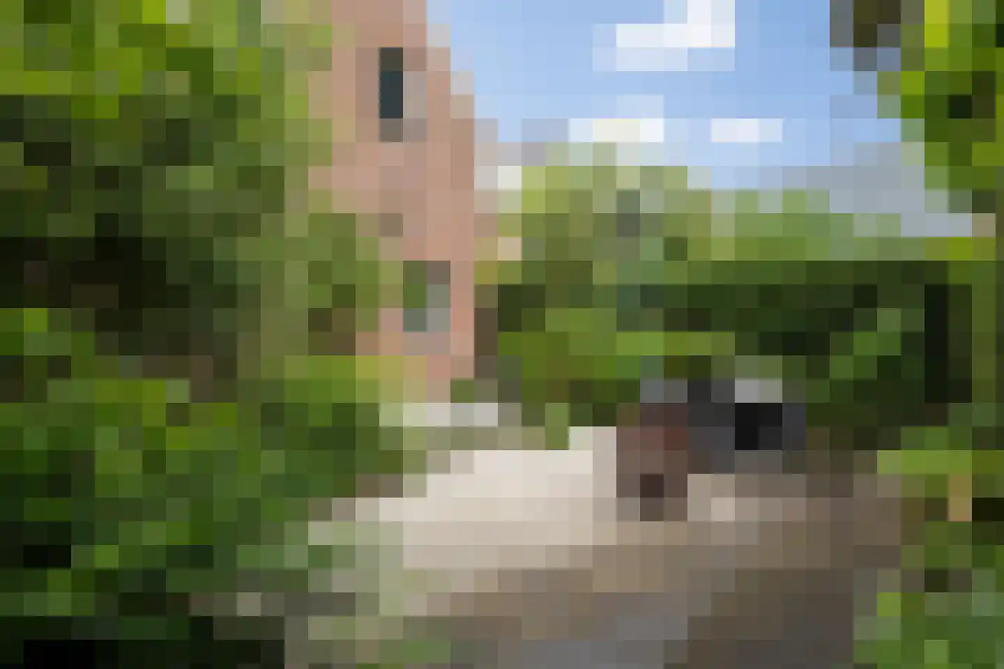 Tivolistraat 16 Tilburg thumbnail 27