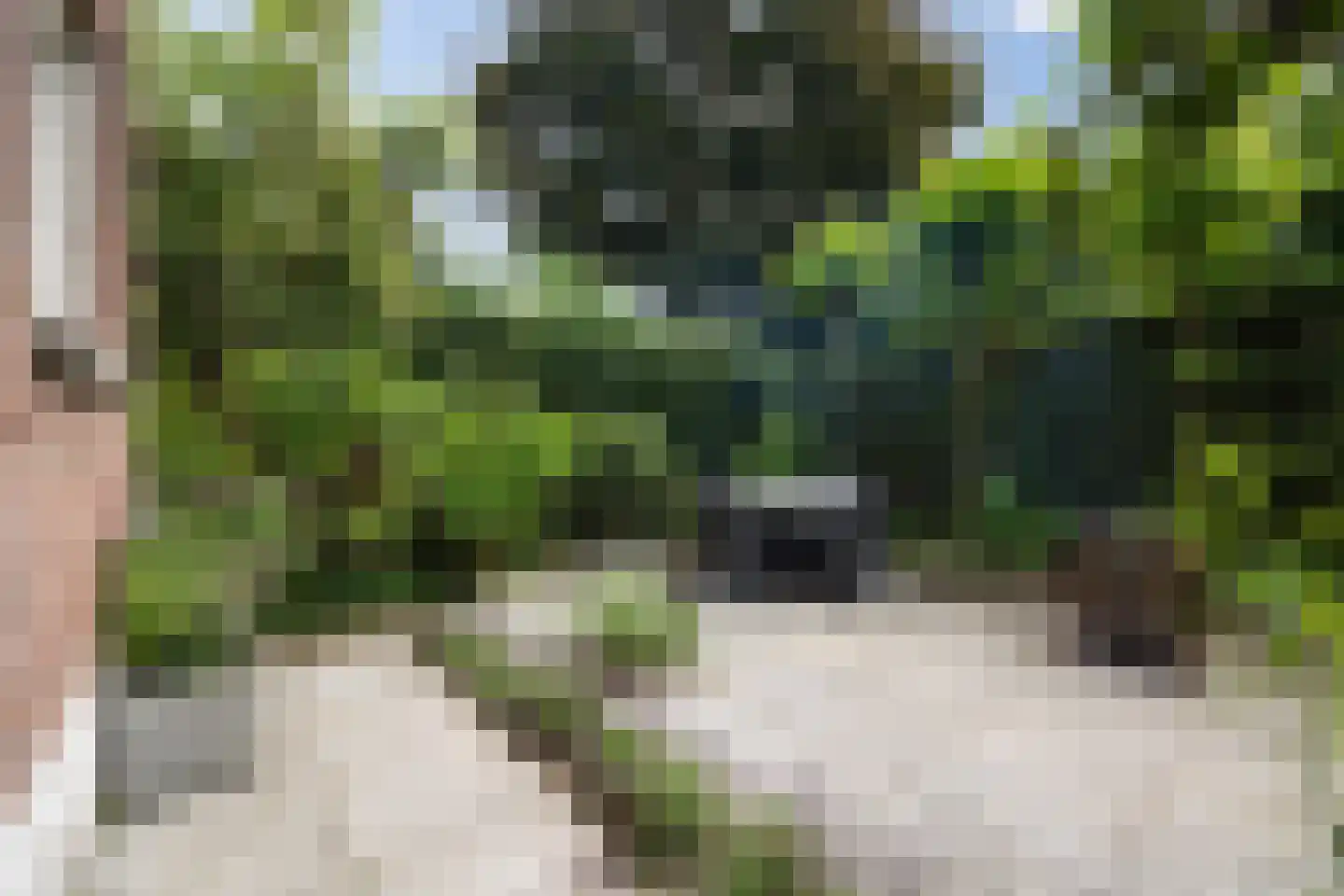 Tivolistraat 16 Tilburg thumbnail 28