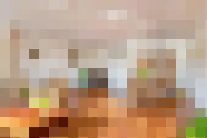 Tivolistraat 166 Tilburg thumbnail 13
