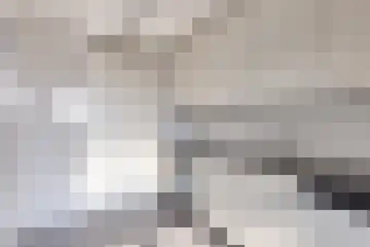Tivolistraat 166 Tilburg thumbnail 17