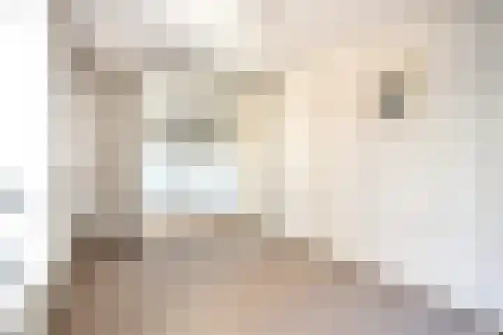 Tivolistraat 166 Tilburg thumbnail 21