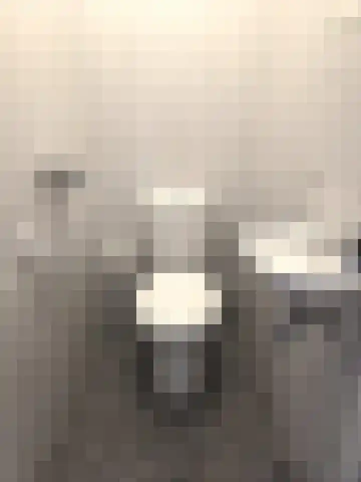 Tivolistraat 166 Tilburg thumbnail 23