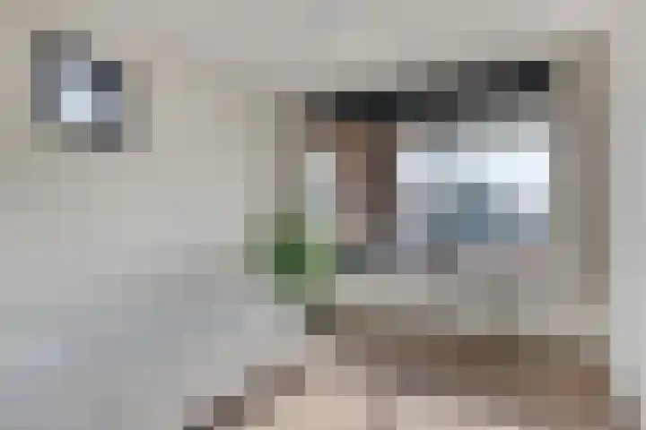 Tivolistraat 166 Tilburg thumbnail 26