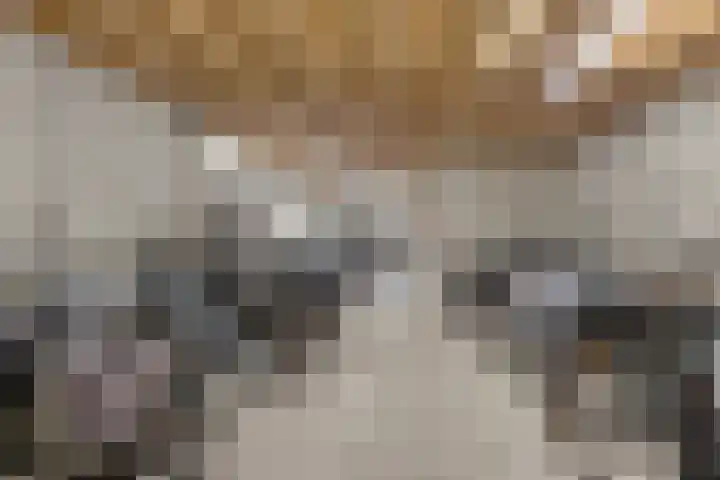 Tivolistraat 166 Tilburg thumbnail 32