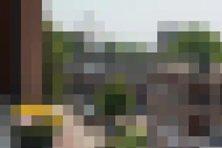Tivolistraat 174 Tilburg thumbnail 14