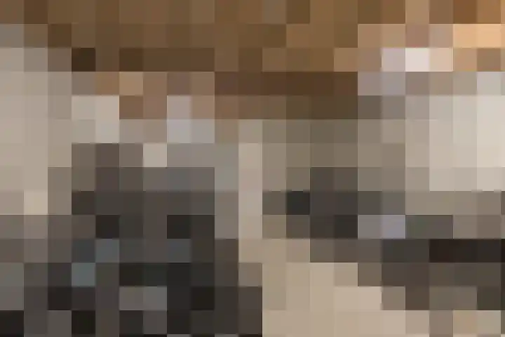 Tivolistraat 174 Tilburg thumbnail 39