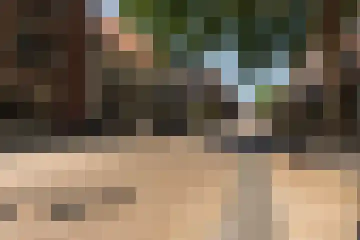 Tivolistraat 174 Tilburg thumbnail 49