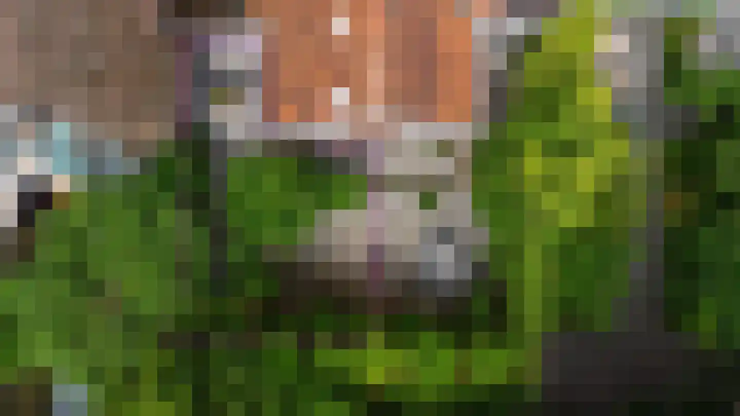 Tivolistraat 18 Tilburg thumbnail 20