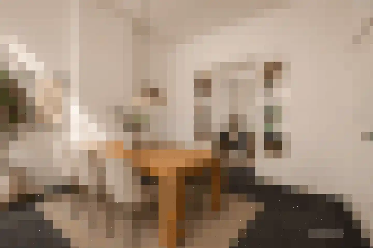 Tivolistraat 18 Tilburg thumbnail 5