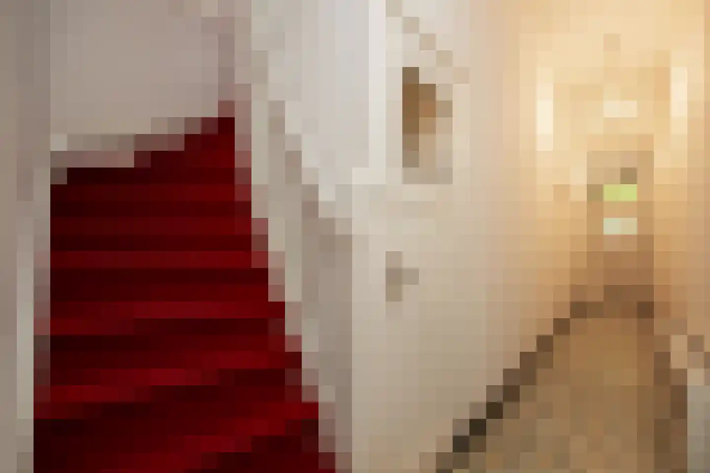 Tivolistraat 18 Tilburg thumbnail 9