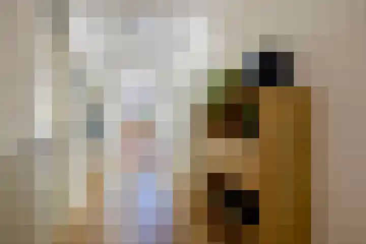Tivolistraat 62 02 Tilburg thumbnail 12