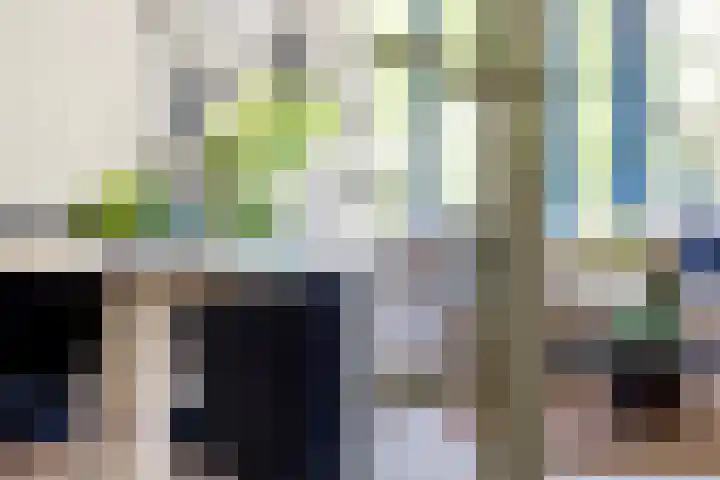 Tivolistraat 62 02 Tilburg thumbnail 15