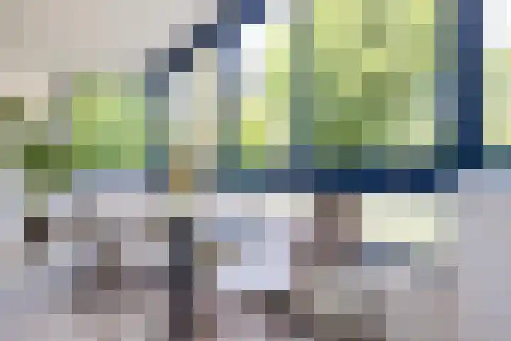Tivolistraat 62 02 Tilburg thumbnail 16