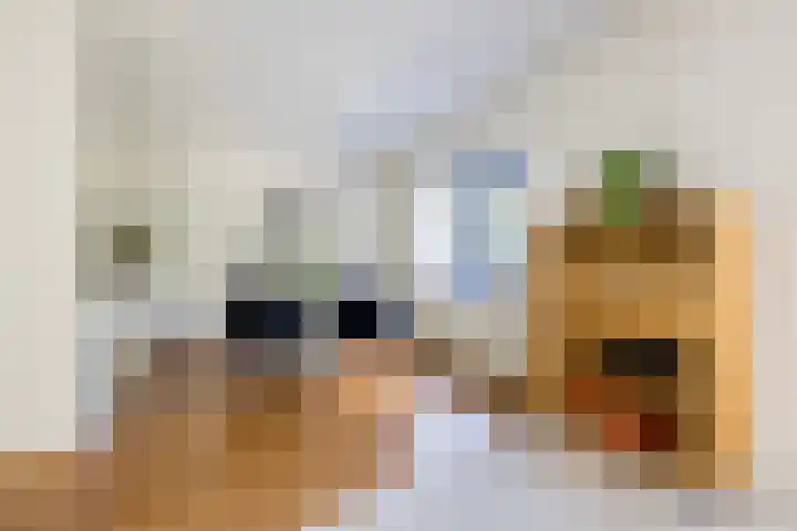 Tivolistraat 62 02 Tilburg thumbnail 22