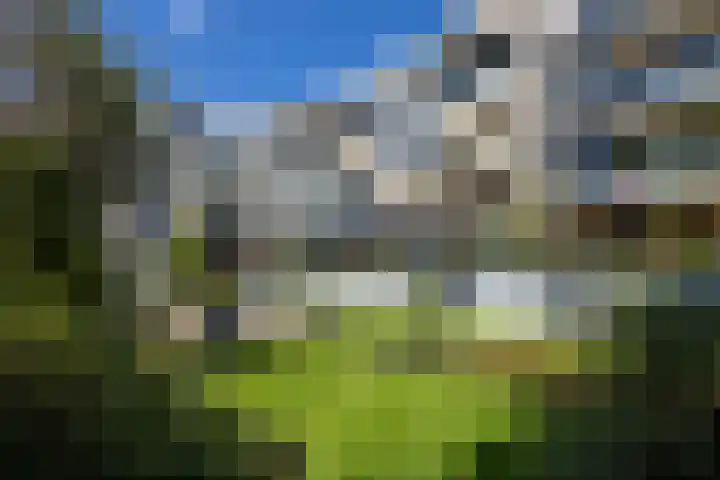Tivolistraat 62 02 Tilburg thumbnail 31