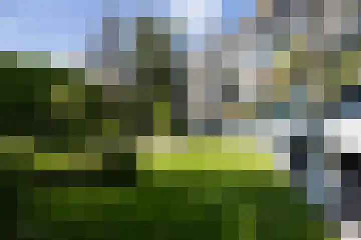 Tivolistraat 62 02 Tilburg thumbnail 32
