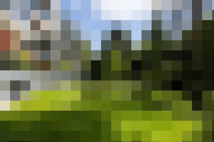 Tivolistraat 62 02 Tilburg thumbnail 33