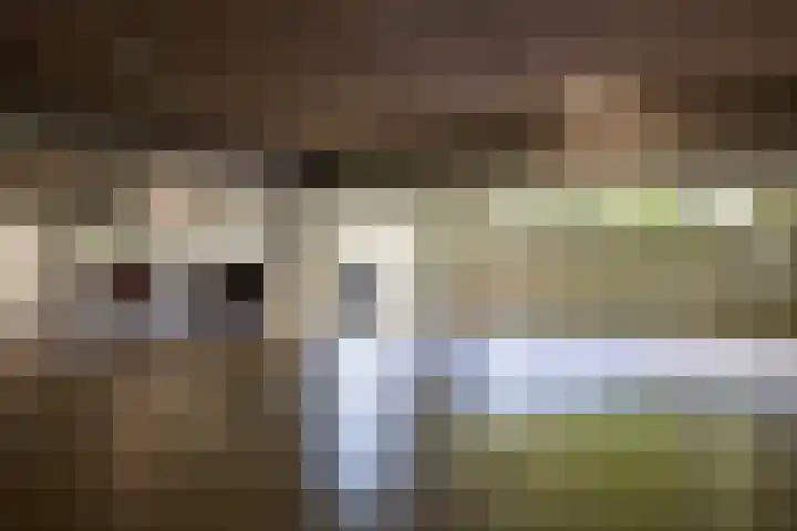 Tivolistraat 62 02 Tilburg thumbnail 37