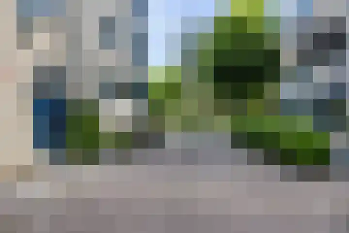 Tivolistraat 62 02 Tilburg thumbnail 38