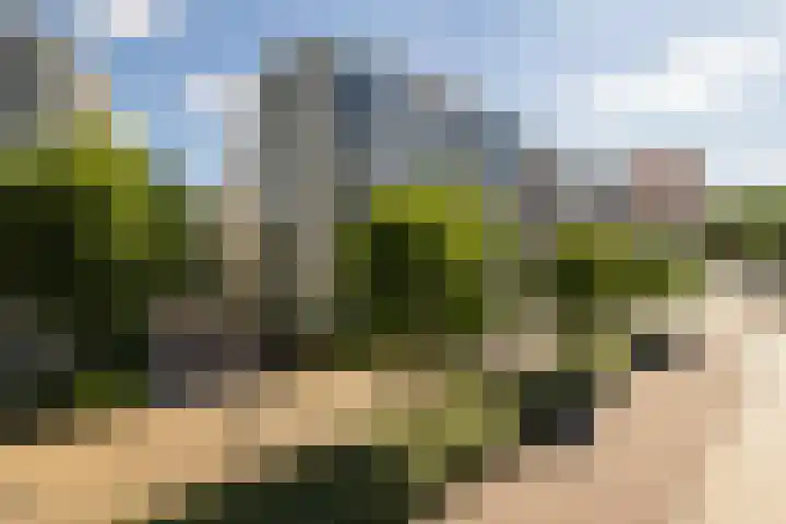 Tivolistraat 62 02 Tilburg thumbnail 39