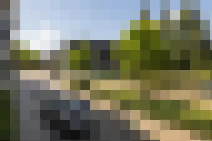 Tivolistraat 62 02 Tilburg thumbnail 43