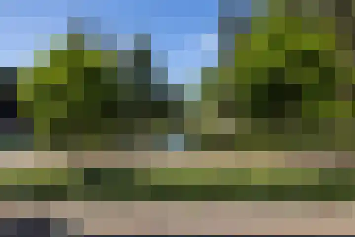 Tivolistraat 62 02 Tilburg thumbnail 45