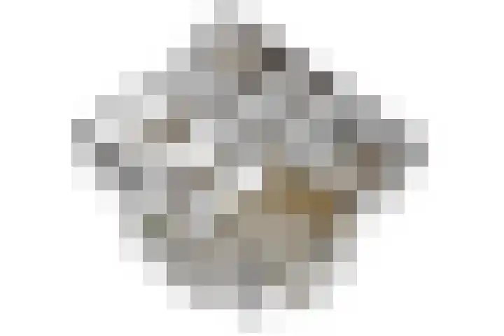 Tivolistraat 62 02 Tilburg thumbnail 47