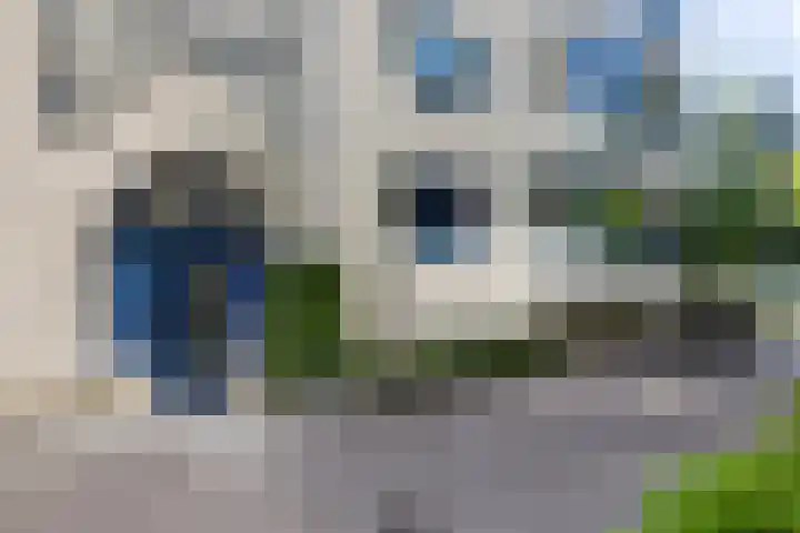 Tivolistraat 62 02 Tilburg thumbnail 9