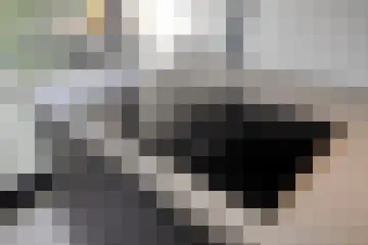 Tivolistraat 62 13 Tilburg thumbnail 19