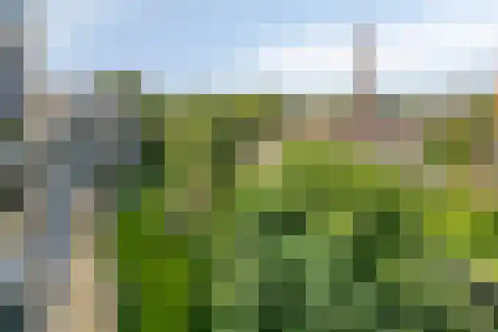 Tivolistraat 62 13 Tilburg thumbnail 26