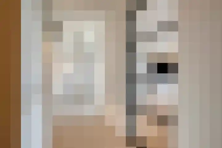 Tivolistraat 62 13 Tilburg thumbnail 27
