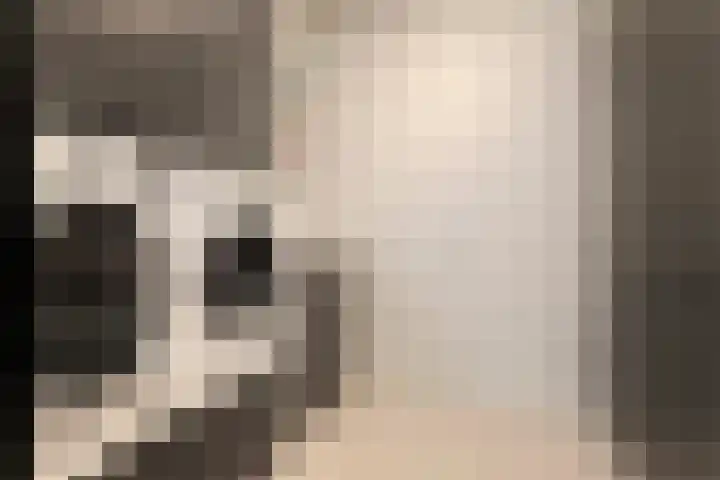 Tivolistraat 62 13 Tilburg thumbnail 42
