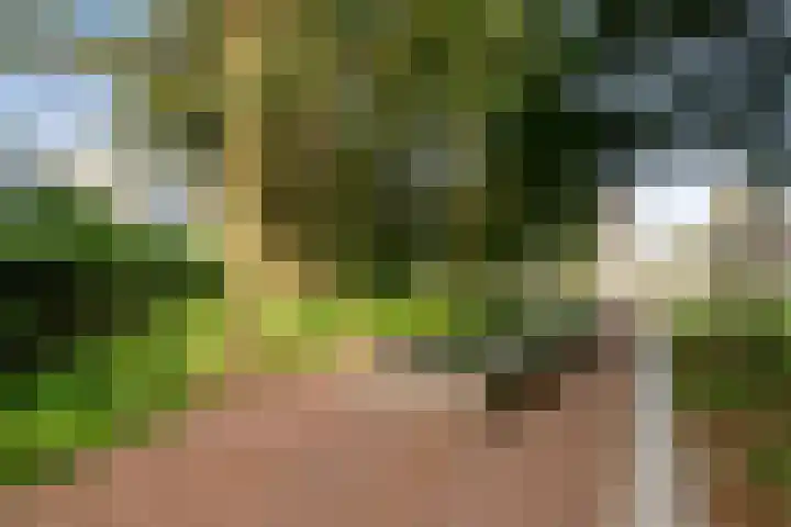 Tivolistraat 62 13 Tilburg thumbnail 55