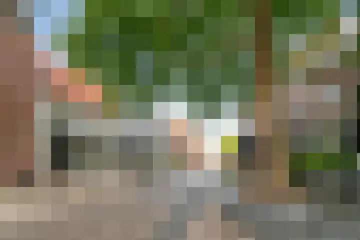 Tivolistraat 62 13 Tilburg thumbnail 58
