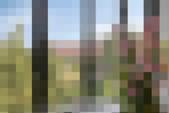 Tivolistraat 62 13 Tilburg thumbnail 8