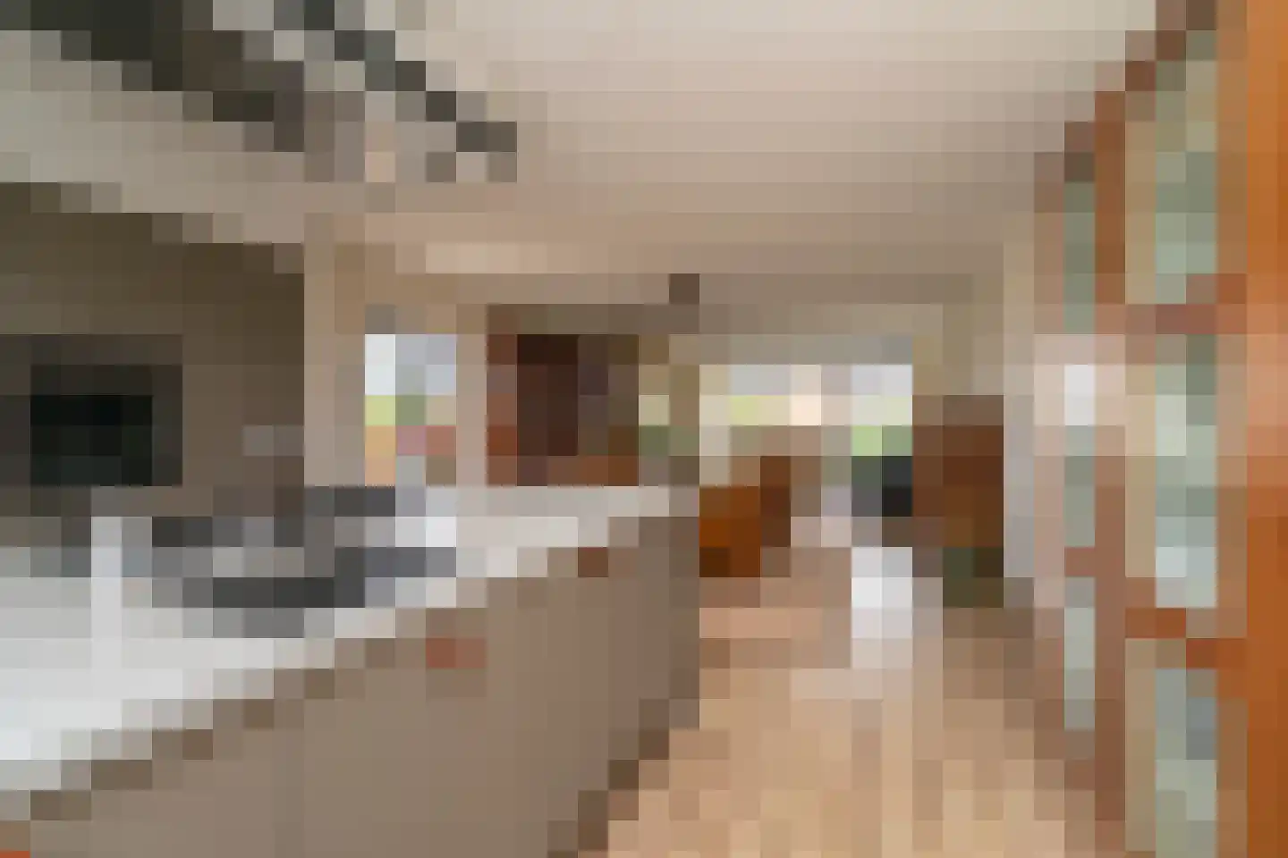 Tivolistraat 62 15 Tilburg thumbnail 17