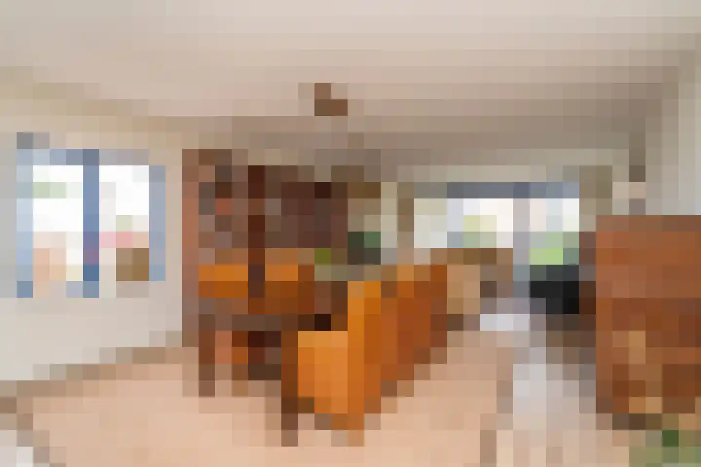 Tivolistraat 62 15 Tilburg thumbnail 18